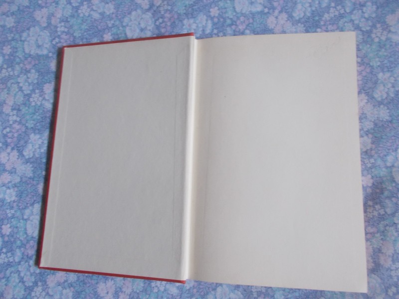 Friedrich Durrenmatt THE PLEDGE 1959 UK 1st dw novel sex crime mystery gallery