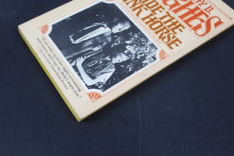 Ride the Pink Horse Dorothy B. Hughes 1979 Bantam Mystery Thriller Novel PB gallery