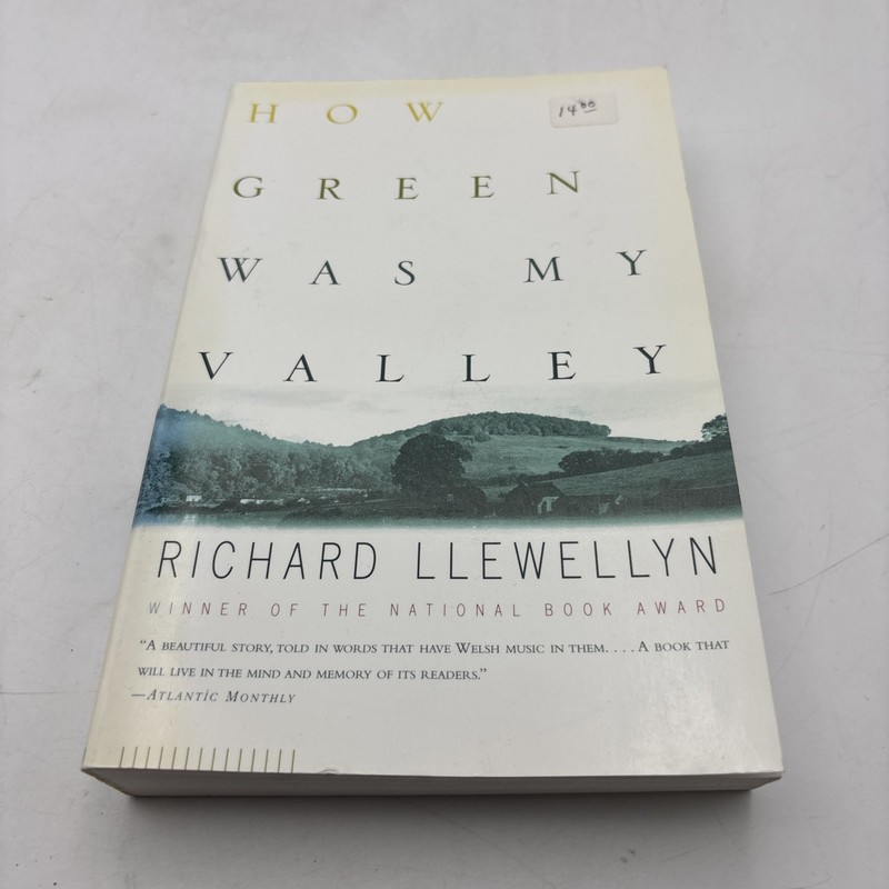 How Green Was My Valley by Richard Llewellyn (1997, Trade Paperback)
