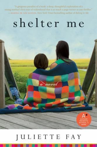 Shelter Me: A Novel About Grief, Fierce Motherhood, and Unexpected Love