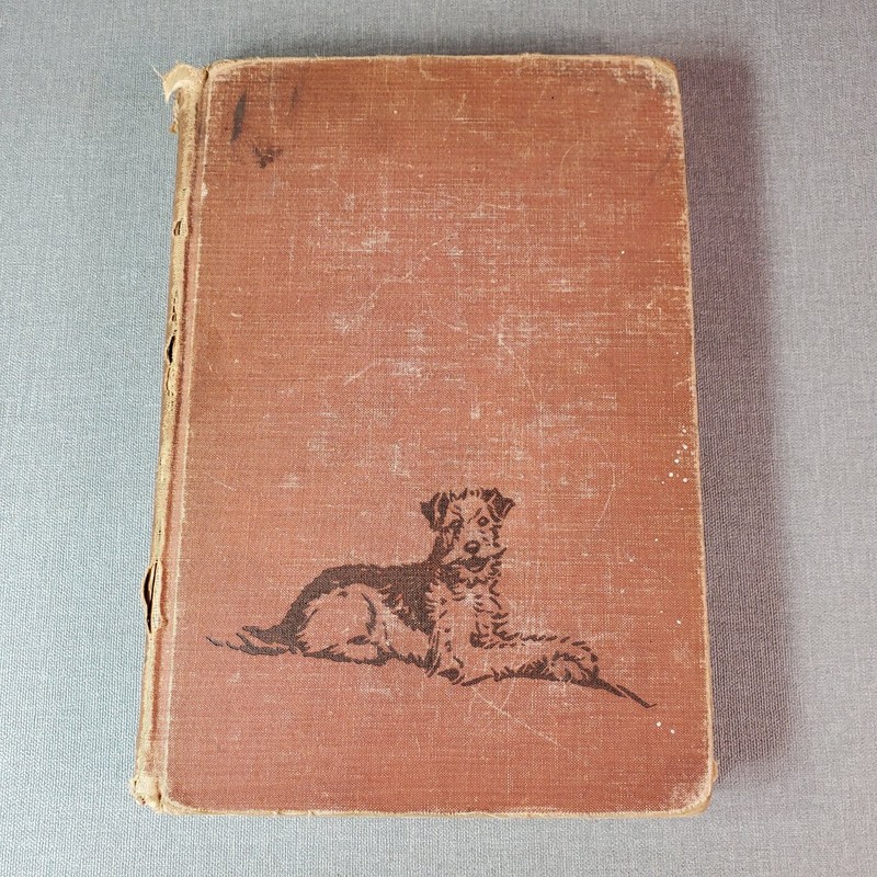 Pete Tom Robinson 1941 First Edition Illustrated Dog Story Viking Press