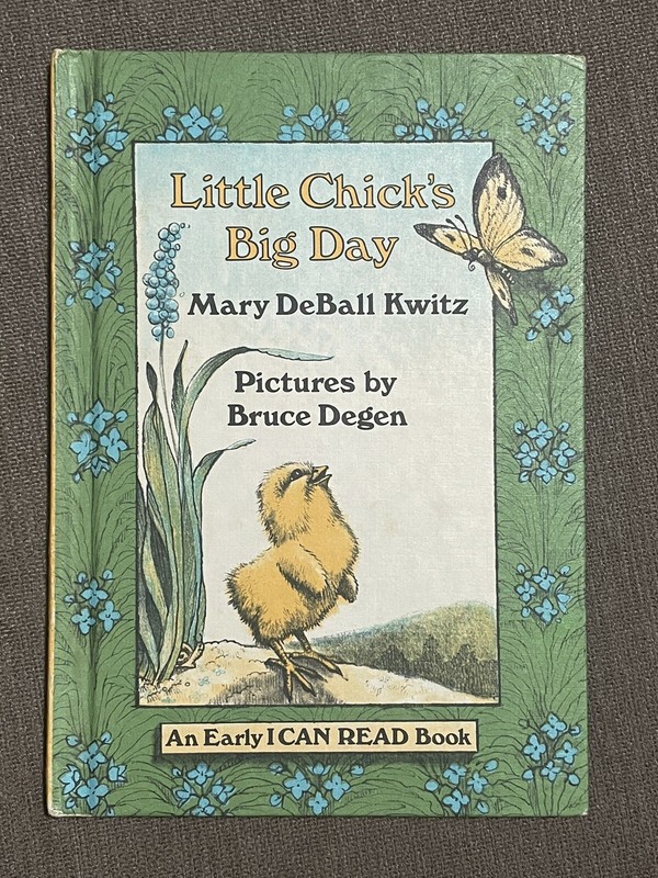 Little Chick’s Big Day 🦋 By Mary DeBall Kwitz 1981 Hardcover Book VINTAGE