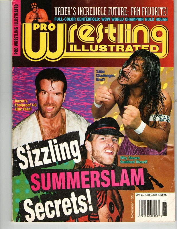 PRO WRESTLING ILLUSTRATED NOVEMBER 1995 SHAWN MICHAELS RIC FLAIR SCOTT HALL WWF