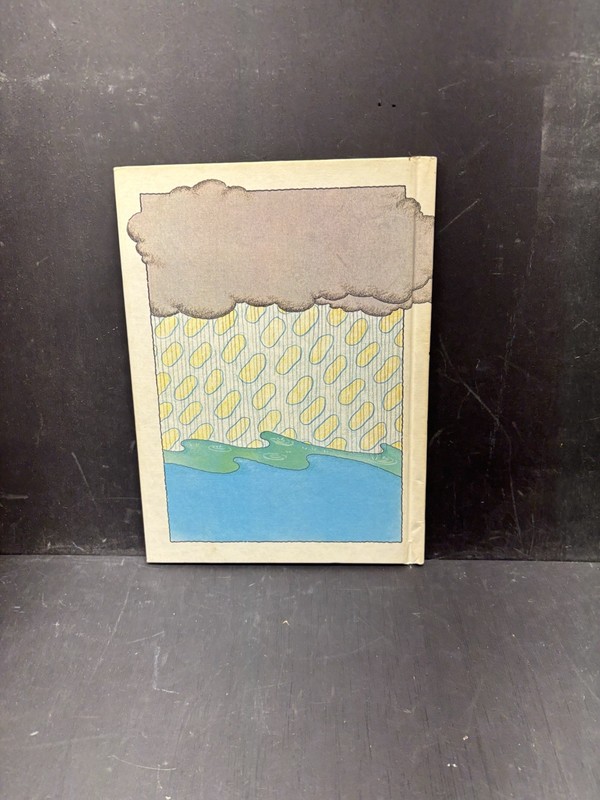 So What If Its Raining! Miriam Young / Carol Nicklaus Vintage 1976 Childrens HC gallery