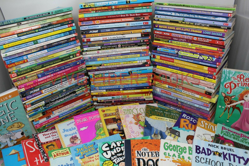 Bulk/Huge Lot of 50 of Children's Kids Chapter Books - Random - Free Shipping! gallery