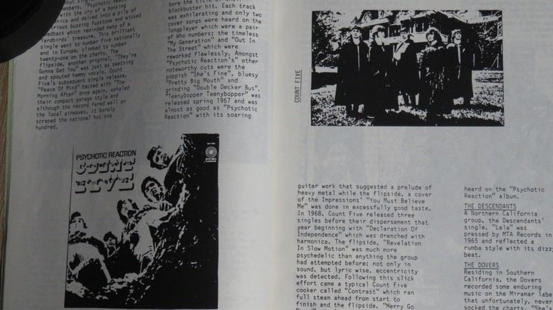 Voices Green And Purple: Guide Of California's Amazing 60s Garage Bands FANZINE gallery