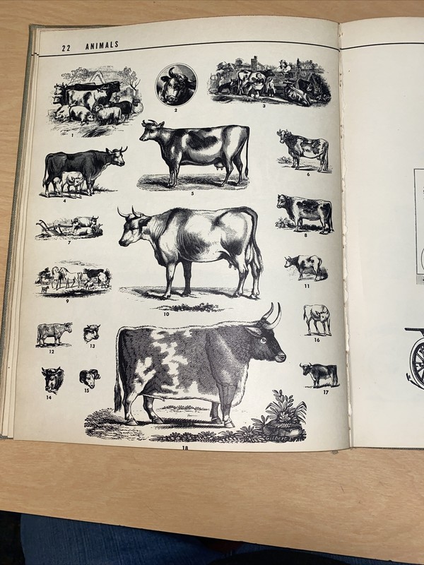 Handbook of Early American Advertising Art. Clarence Hornung Dover 1953 Hard Cov gallery