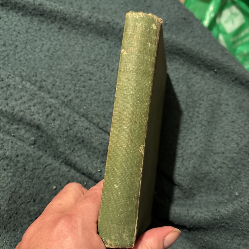 Vintage Field Book of Wild Birds and Their Music – F. Schuyler Mathews – Putnam gallery
