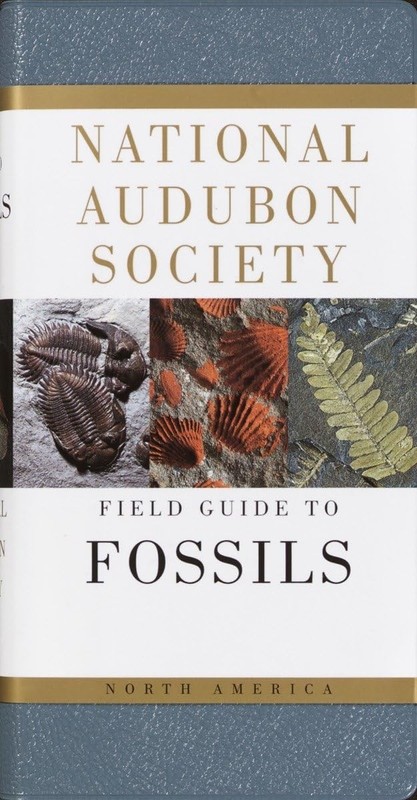 National Audubon Society Field Guide to North American Fossils Ida Thompson|…
