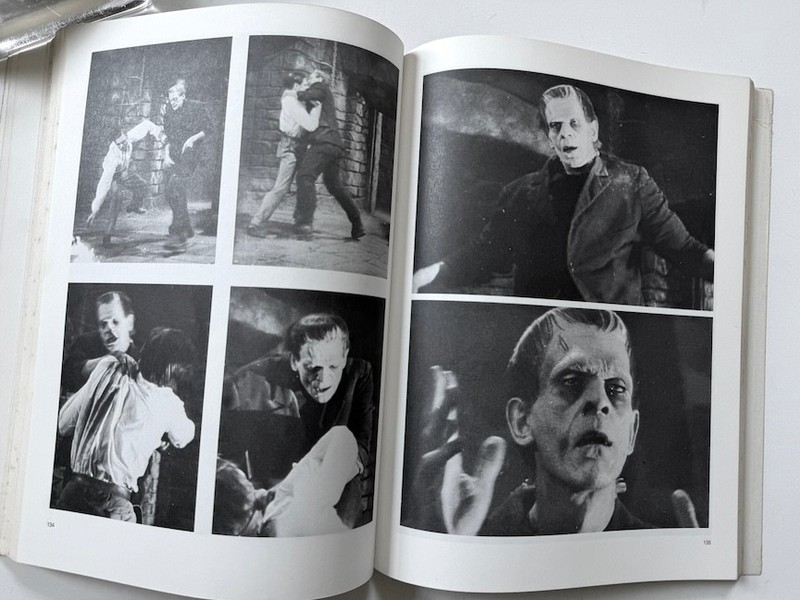 FRANKENSTEIN The Film Classics Library/ First Flare Printing 1975 SB gallery