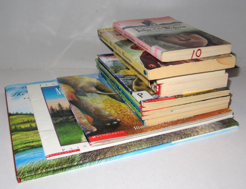Lot of 13 books by Jean Craighead George TPB My Side of the Mountain Julie of th gallery