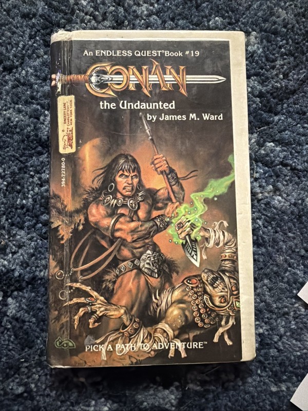 Conan the Undaunted James Ward Endless Quest 19 Barbarian D&D