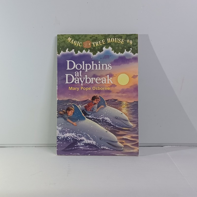 Magic Tree House Book Lot (13 Books) Mary Pope Osborne – Mixed Numbers gallery