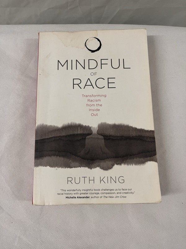 Mindful of Race Ruth King Paperback Book