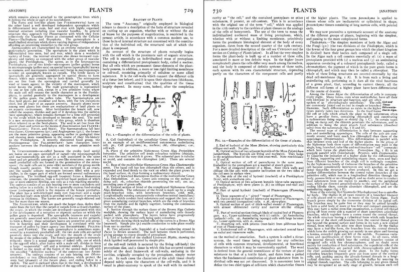 Encyclopedia Britannica - 11th & 12th Edition - 32 Volumes - Collection - CD/DVD gallery