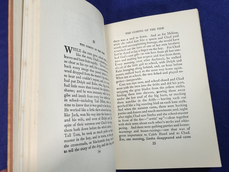 The Little Shepherd of Kingdom Come - 1903 Grosset and Dunlap Edition gallery