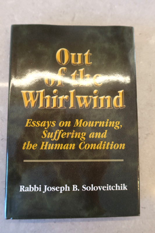 Out of the Whirlwind: Essays on Mourning, Suffering and the Human Condition by J