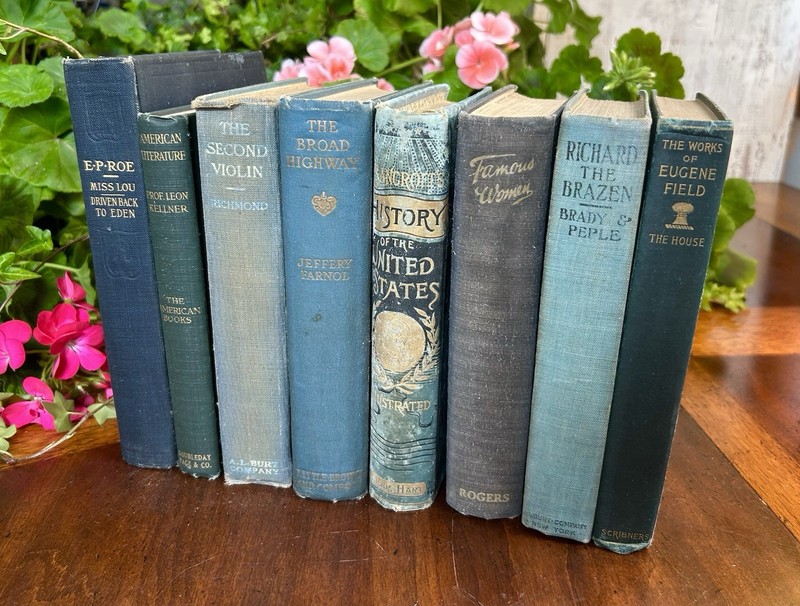 Lot 8 BLUE SHADES Antique Books-COTTAGE CORE Dark Academia Decor Staging Library