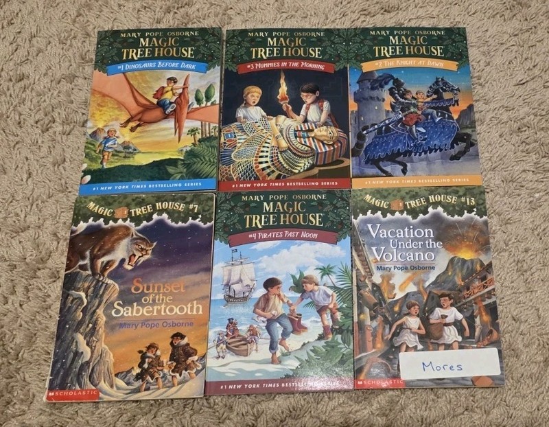 Mary Pope Osborne Magic Tree House 6 Books Lot