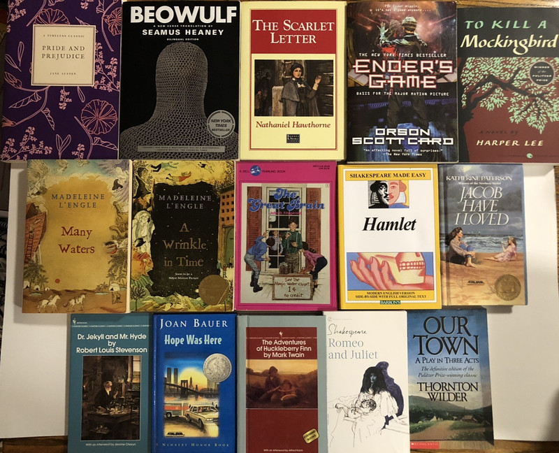 Lot 15 Sonlight 630 British Literature Homeschool Curriculum ~ Summer Reading