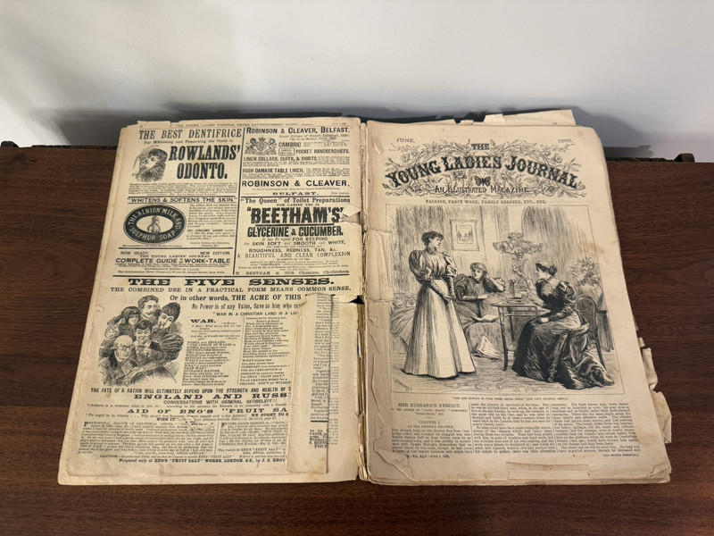 June 1st 1895 Young Ladies Journal - 1800s Weekly Fashion Women's Magazine RARE gallery