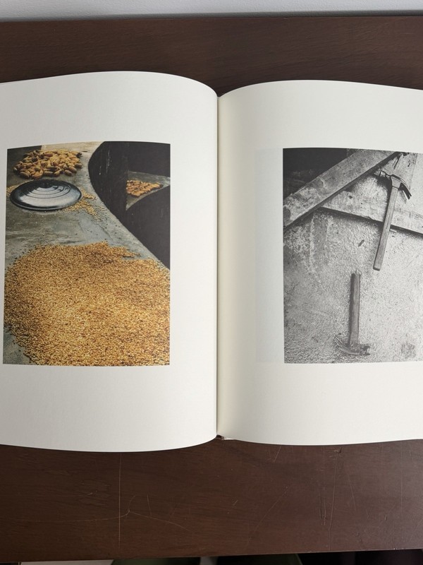 Jack Davison Song Flowers Book Loose Joints Marni - Limited 1000 copies - 2020 gallery