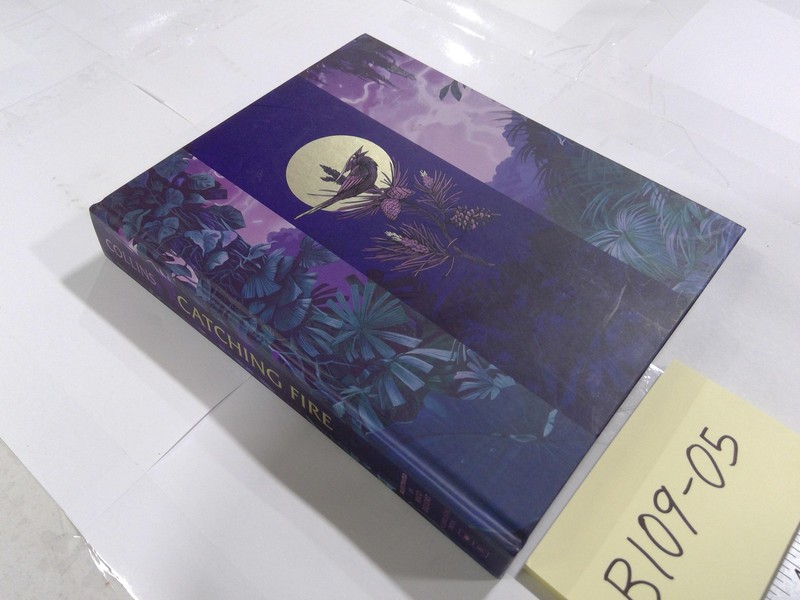 Catching Fire Suzanne Collins Scholastic Purple HC YA Dystopian Fantasy Novel gallery