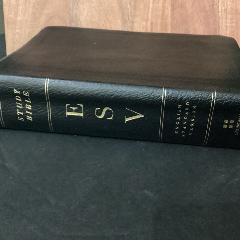 ESV Study Bible: Personal Size Black Genuine VERY GOOD