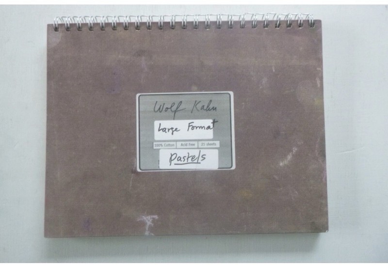 Wolf Kahn: Large Format Pastels (hardcover, 2005)