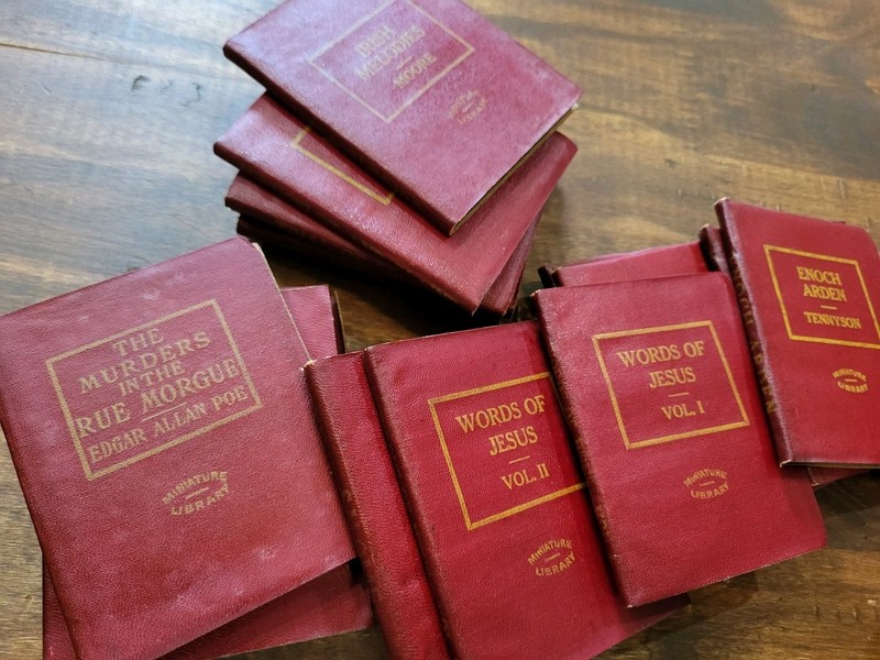Lot of 66 Vintage 1920s Little Leather Library Miniature Red Books Collection gallery
