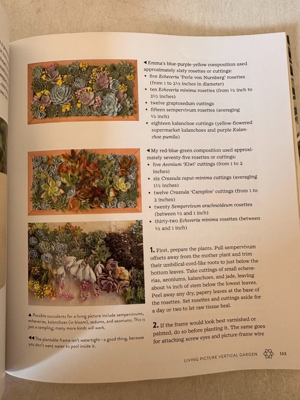 Succulents Simplified : Growing, Designing, and Crafting with 100 Easy-Care... gallery