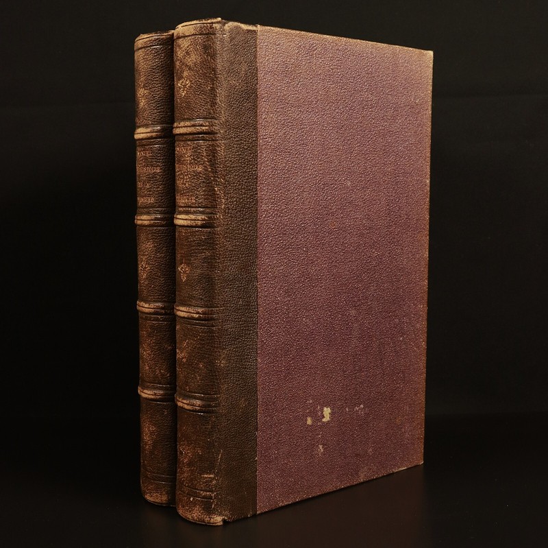 1863 2vol Manuel De l’Histoire De La Peinture Antiquarian French Art Books