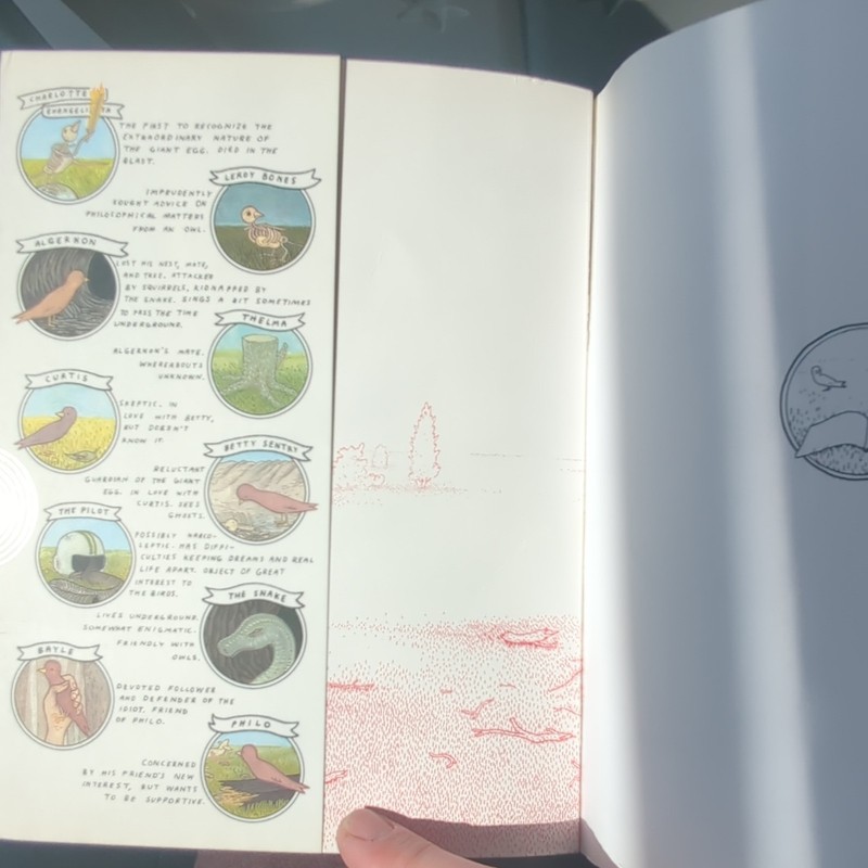 Big Questions Hardcover Illustrated 2009 Drawn & Quarterly Anders Nilsen gallery