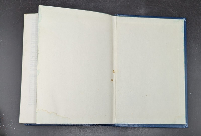 Holy Bible NRSV New Revised Standard Version-1989 Thomas Nelson Blue Cover gallery