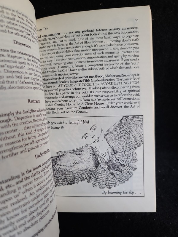 Angel Tech Antero Alli 1988 Falcon Press Reality Selection Paperback gallery
