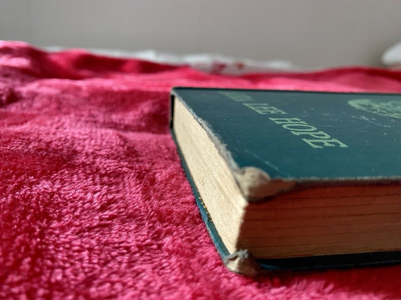 1918 HC copy of The Bobbsey Twins On The Deep Blue Sea by Laura Lee Hope gallery