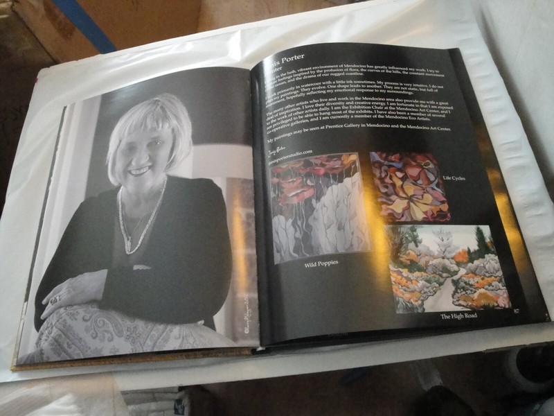 MENDOCINO ARTISTS Photoraphed and Edited by Larry R Wagner 182 pages Hardcover gallery