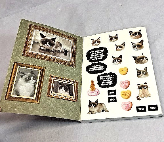 Grumpy Cat Journal w/Stickers 192 Pages Pre Owned Unused gallery