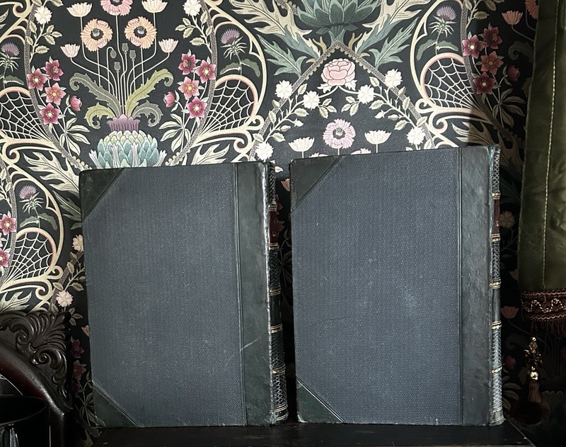 1880s Cassell's Popular Gardening DT Fish 4 Vols Chromo Color Plates Flowers gallery