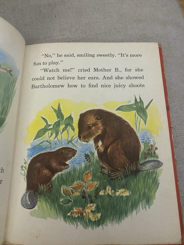 Bartholomew the Beaver by Ruth Dixon & Alice Pierce 1953 Rand McNally #597 gallery