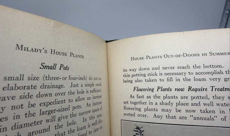 AQ Milady’s House Plants 1926 F.E. Palmer Home & Garden Book HC gallery