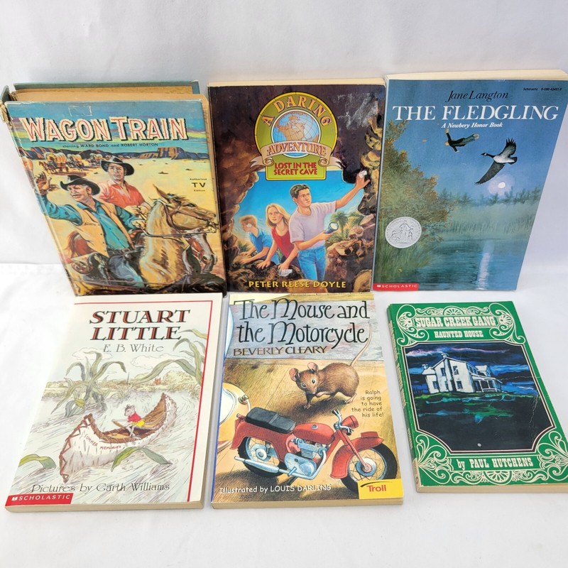 Lot of 6 Vtg Chapter Books Boys Interest Tweens Teens Wagon Train The Fledgling