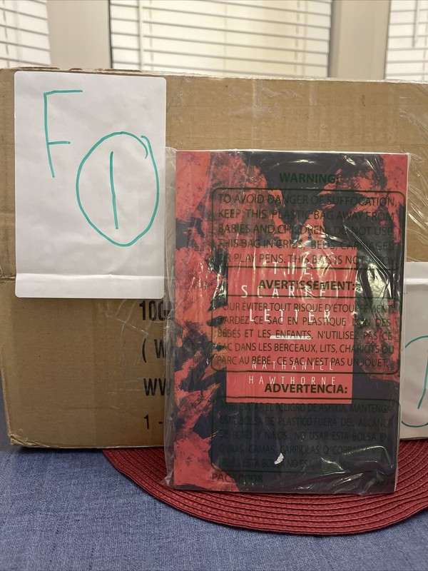 The Scarlet Letter – Nathaniel Hawthorne
