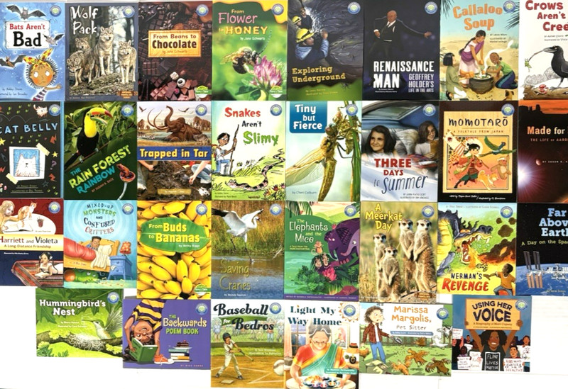 GRADE 3 READERS Homeschool Reading Books Fountas & Pinnell Curriculum 30 Books