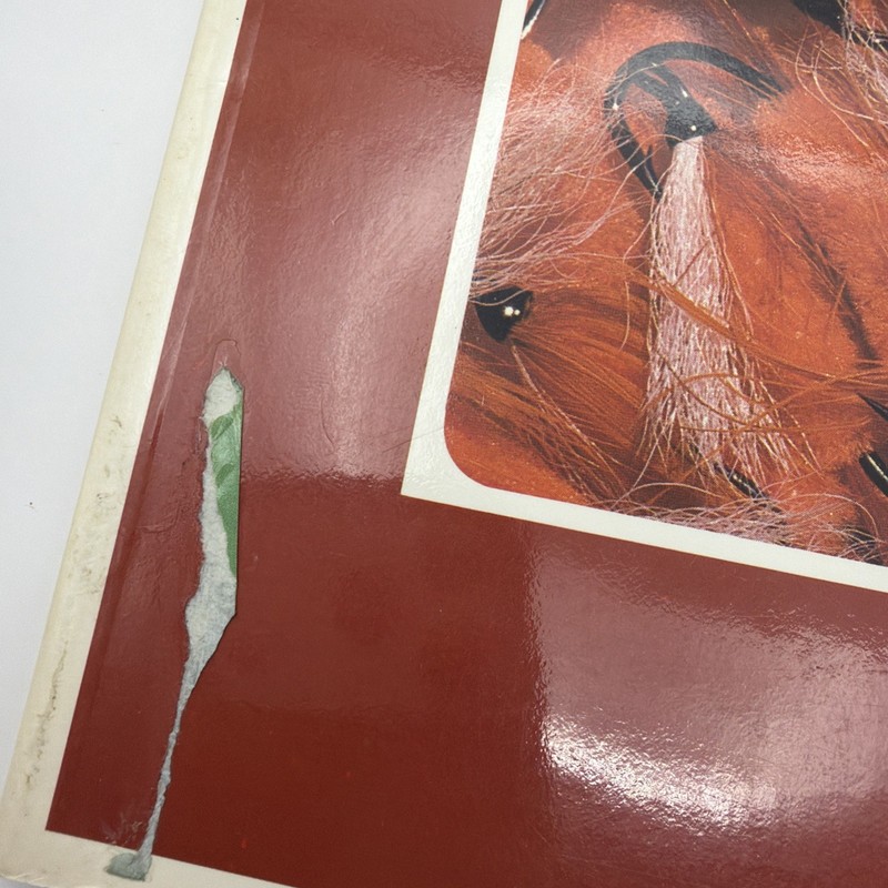 Flies for Steelhead Paperback Dick, Allen, Farrow Stewart gallery