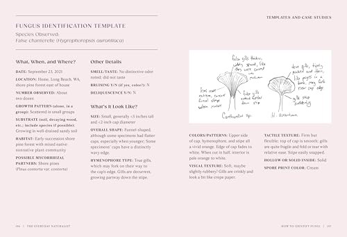 The Everyday Naturalist: How to Identify Animals, Plants, and Fungi Wherever You gallery