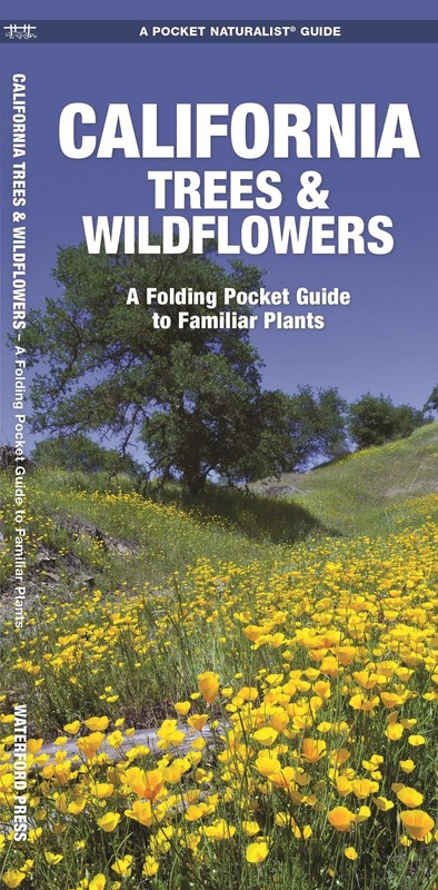California Trees & Wildflowers (Nature Observation North America) – Waterfor…