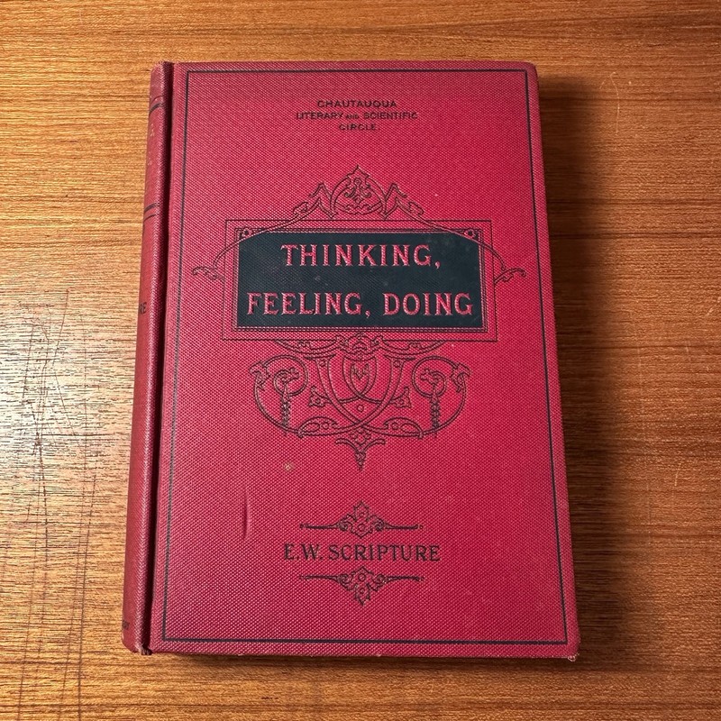 Thinking, Feeling, Doing By E. W. Scripture – Flood And Vincent 1895 Hardcover