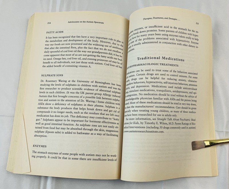 Adolescents on the Autism Spectrum Chantal Sicile-Kira 2009 Paperback Book gallery