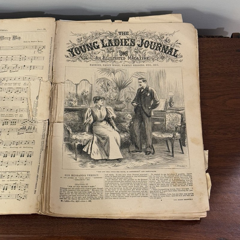 June 1st 1895 Young Ladies Journal – 1800s Weekly Fashion Women’s Magazine RARE